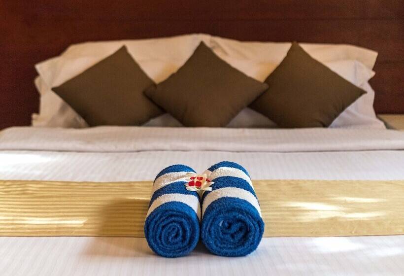 اتاق استاندارد, South Ari Dive Center