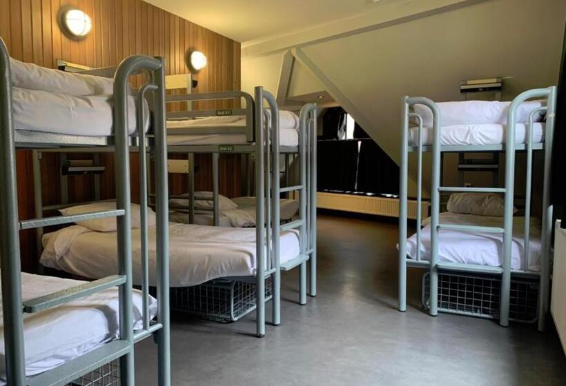 غرفة قياسية سرير بطابقين, Durty Nelly's Inn