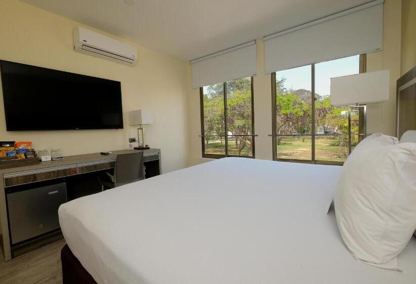 اتاق استاندارد, Rado Hotel Quintanas