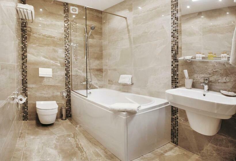 اتاق استاندارد با تخت بزرگ, Roxen Hotel&spa