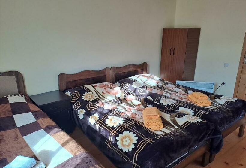 اتاق استاندارد با سرویس بهداشتی مشترک, Guesthouse Robi