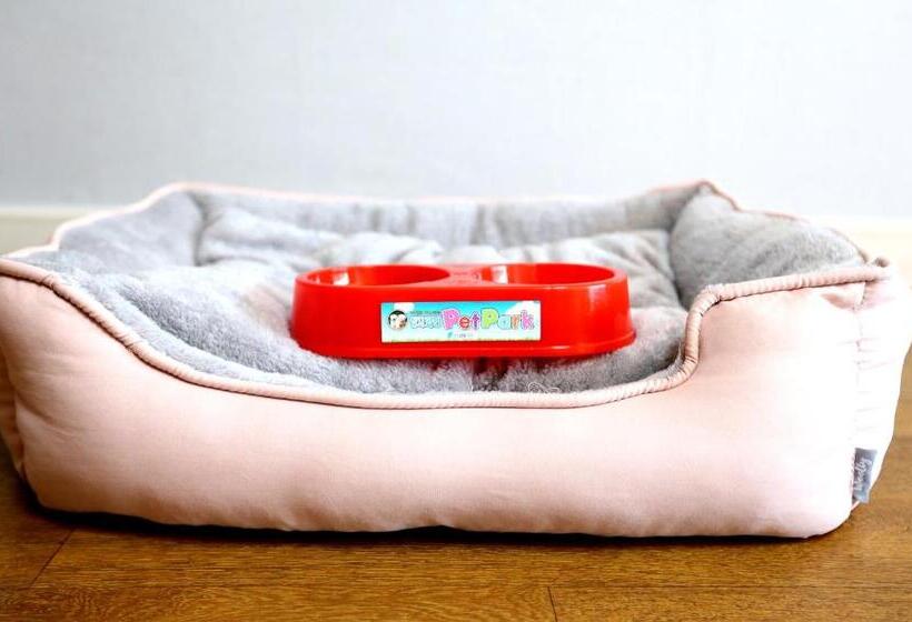 Studio Standard, Yangji Pine Resort