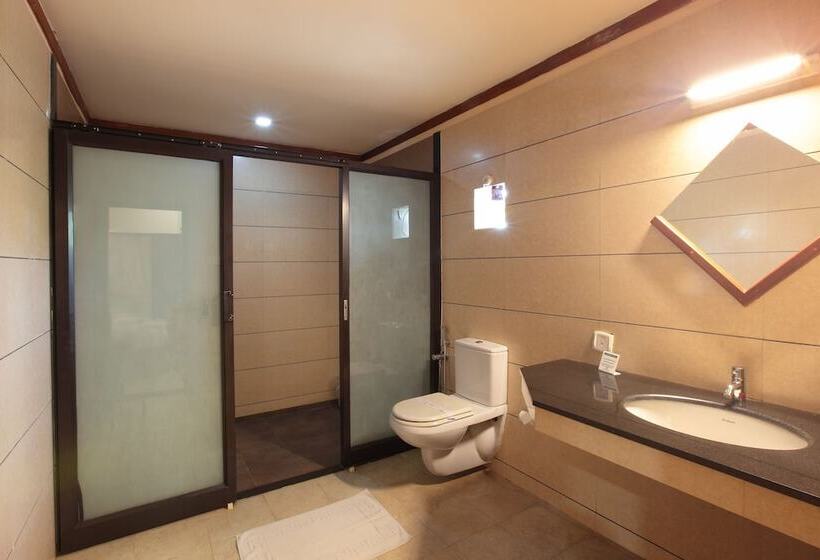 Номер Deluxe, Pushpak Grande