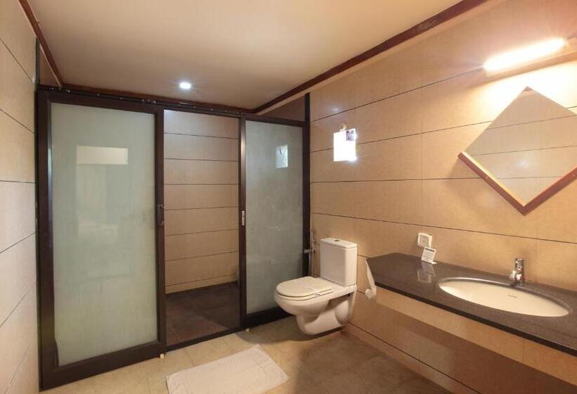 Номер Deluxe, Pushpak Grande