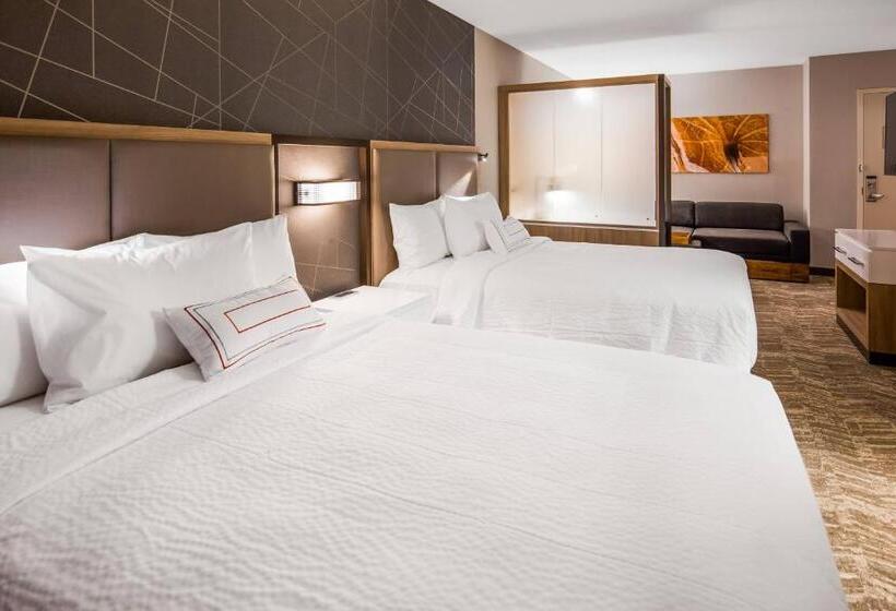 Люкс Кровать Квин, Springhill Suites By Marriott Chambersburg