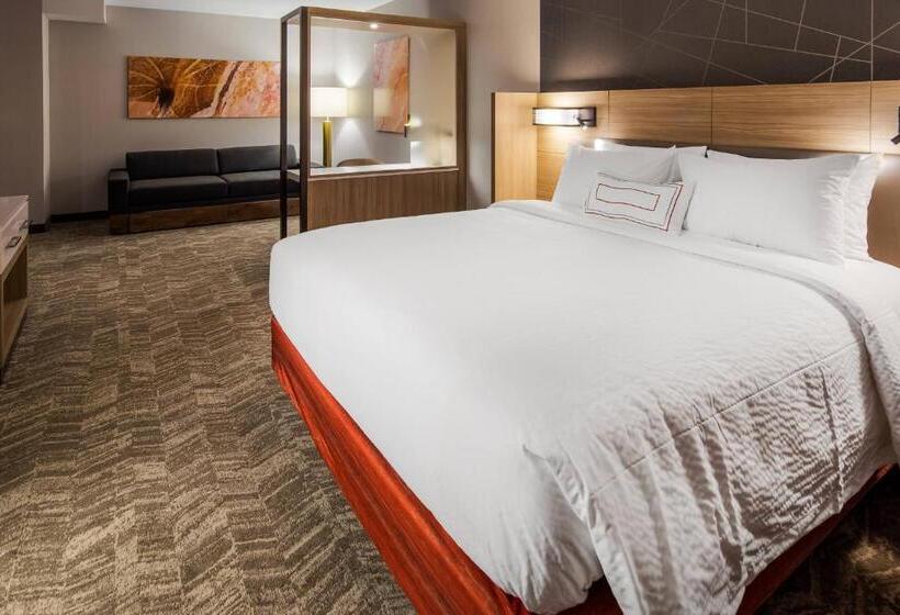 Люкс Кровать Кинг, Springhill Suites By Marriott Chambersburg