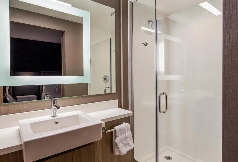身障者適用スイートルーム, Springhill Suites By Marriott Chambersburg