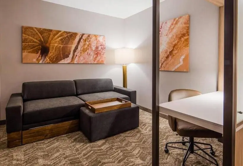 身障者適用スイートルーム, Springhill Suites By Marriott Chambersburg