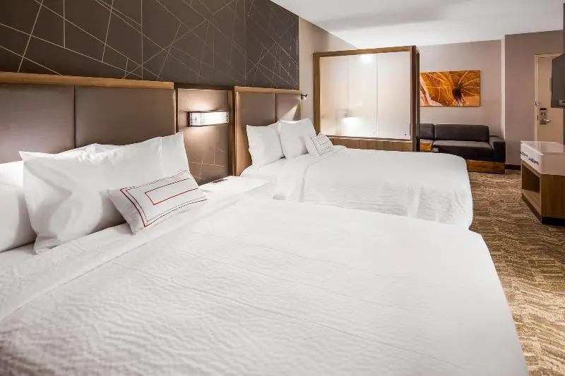 クイーンサイズベッドのスイートルーム, Springhill Suites By Marriott Chambersburg