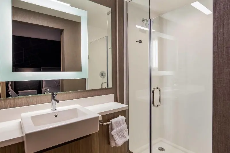 キングサイズベッドのスイートルーム, Springhill Suites By Marriott Chambersburg