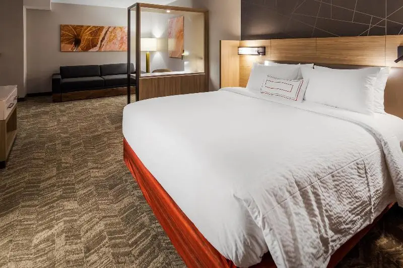 キングサイズベッドのスイートルーム, Springhill Suites By Marriott Chambersburg