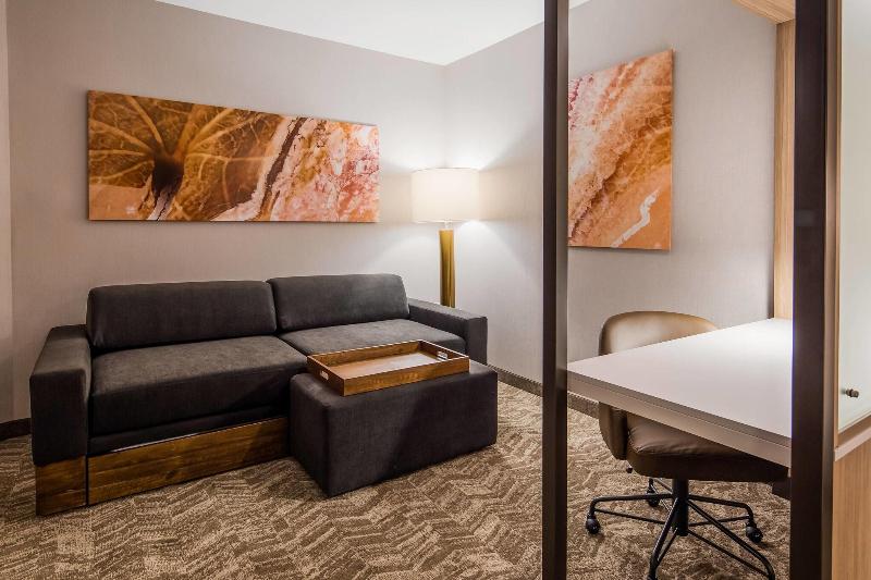 Люкс Кровать Кинг, Springhill Suites By Marriott Chambersburg