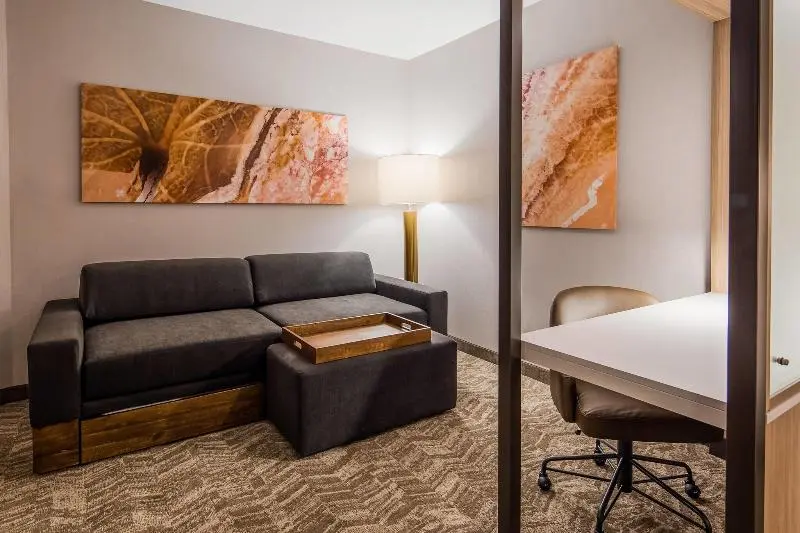キングサイズベッドのスイートルーム, Springhill Suites By Marriott Chambersburg