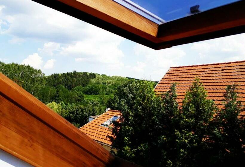 豪华工作室, Hőforrás Wellness Vendégház