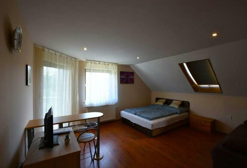 豪华房间, Hőforrás Wellness Vendégház