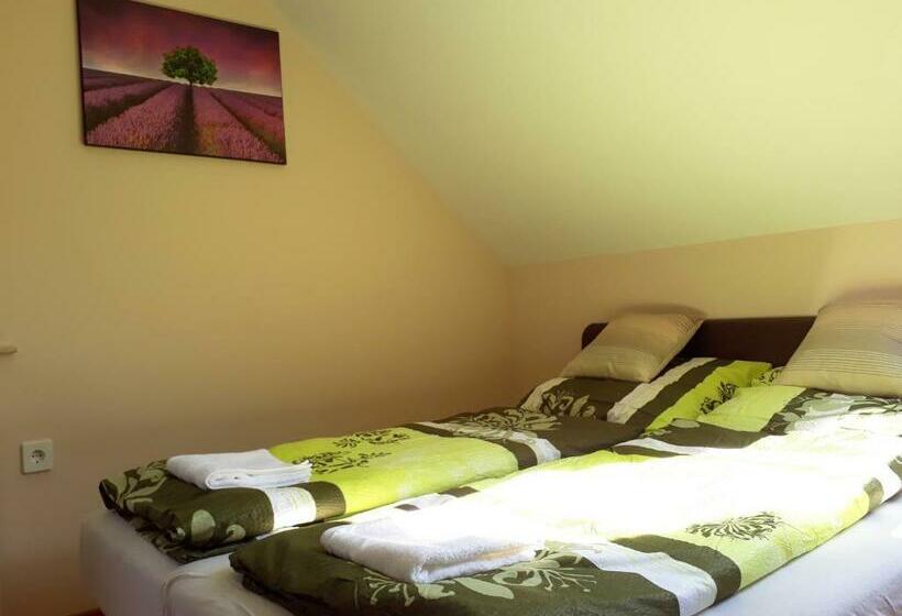 豪华房间, Hőforrás Wellness Vendégház