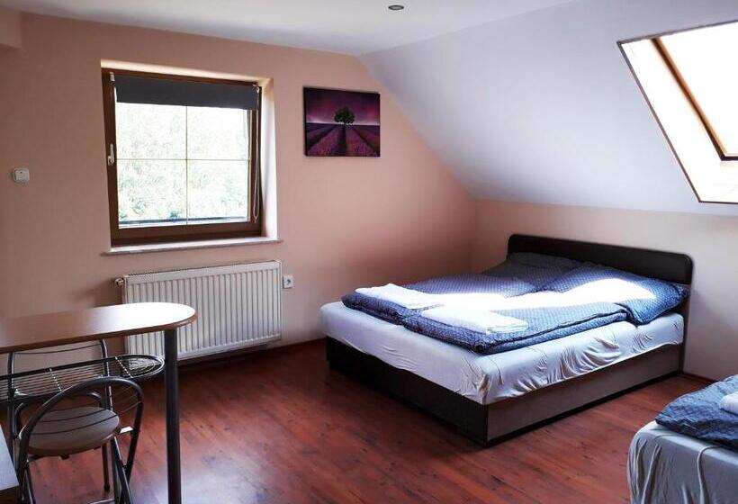 豪华房间, Hőforrás Wellness Vendégház