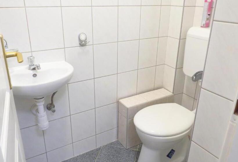 Апартаменты 1 Спальня с Балконом, Hőforrás Wellness Vendégház