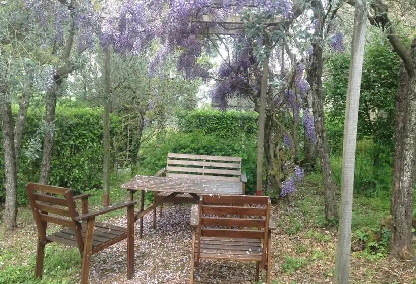 1ベッドルームアパートメント, Castello Di Pratelli