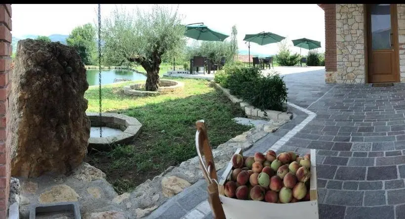 身障者適用スタンダードルーム, La Fontanella