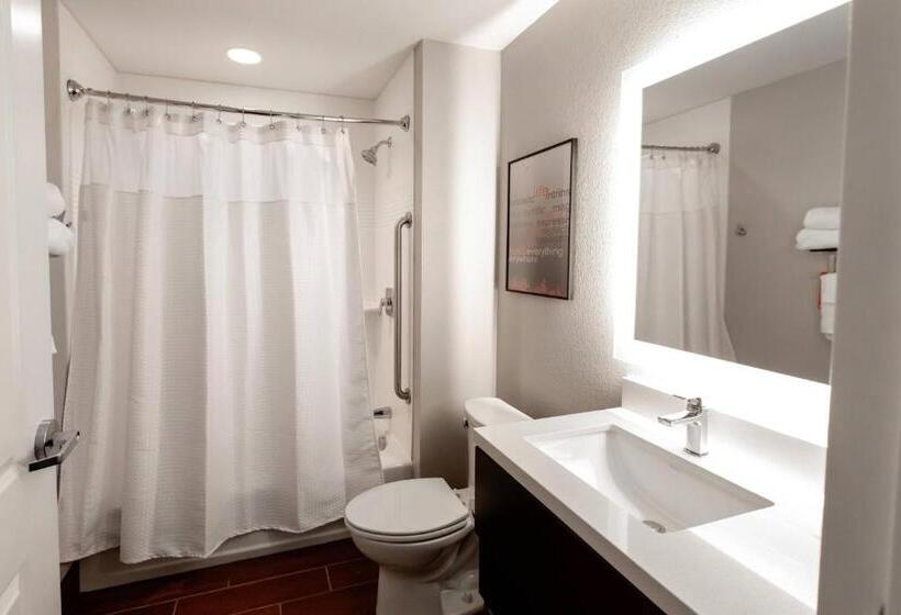 身障者適用スイートルーム, Towneplace Suites By Marriott Louisville Airport