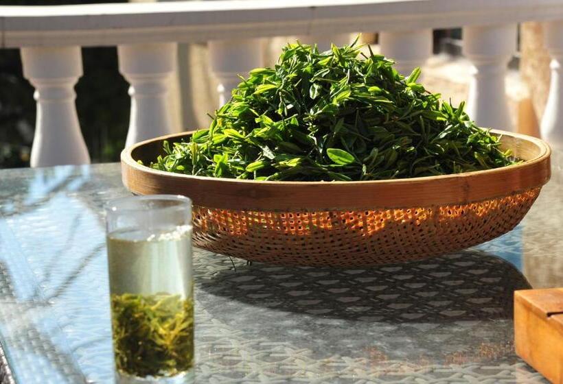 スイート, Nordic Memory In Qingdao