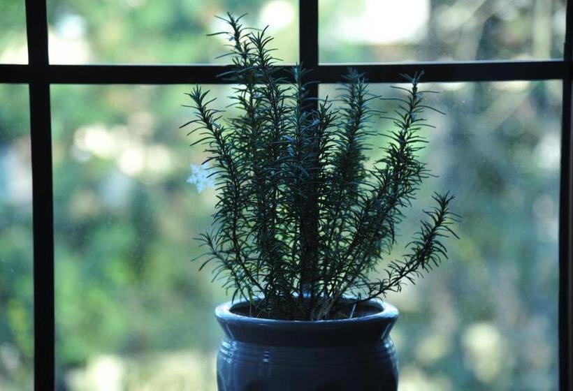 ファミリールーム, Nordic Memory In Qingdao