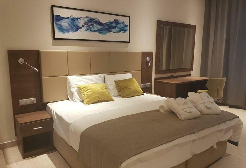 اتاق لوکس یک تخته, Capital Hotel Djibouti