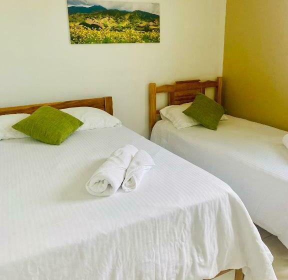 غرفة قياسية, Ana Mary