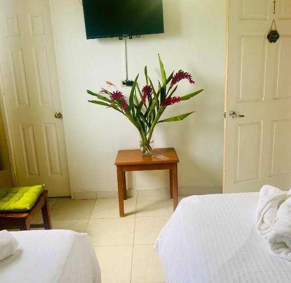 غرفة قياسية, Ana Mary