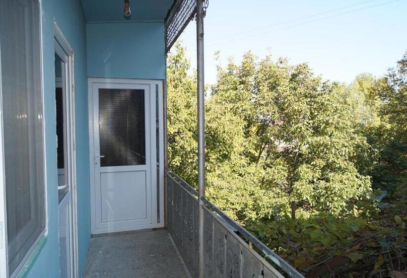 اتاق استاندارد با چشمانداز باغ, Insomnia