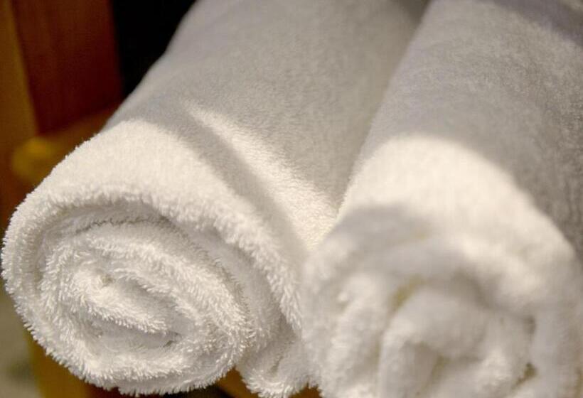 豪华房间, The Cayley Arms Inn