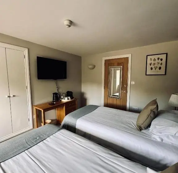 Camera Basic, The Swan