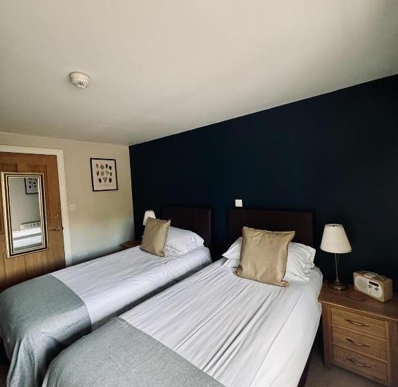 غرفة أساسية, The Swan