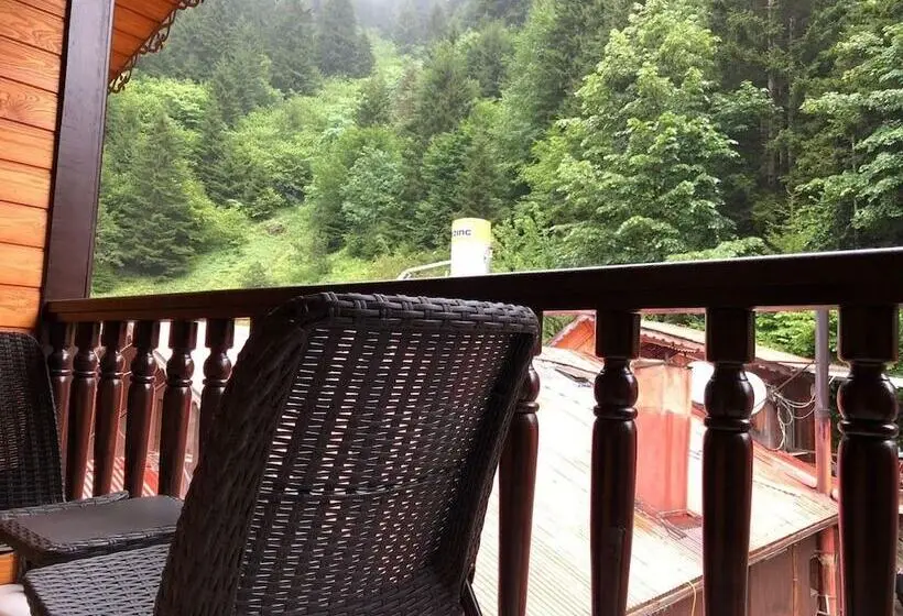 سوییت خانوادگی, Hayat Rose