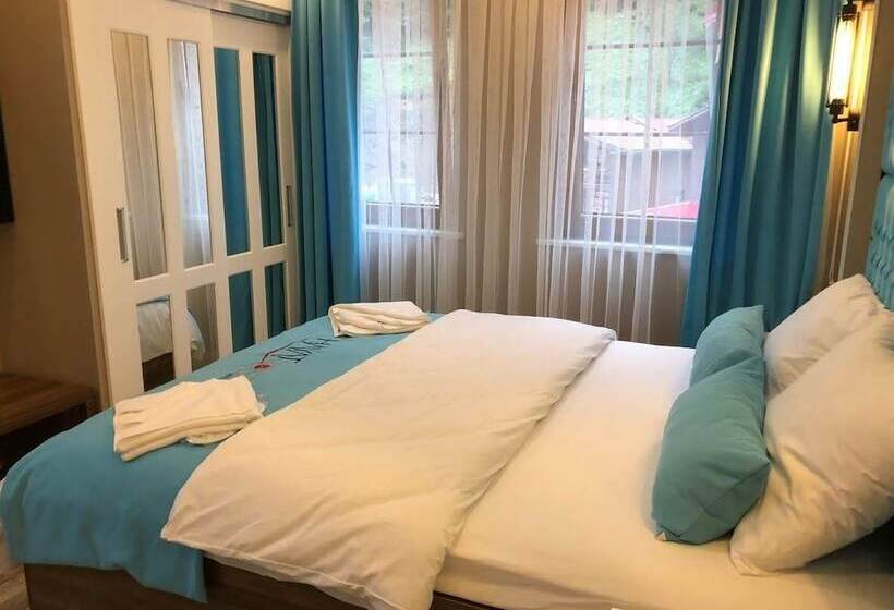 디럭스 스위트, Hayat Rose