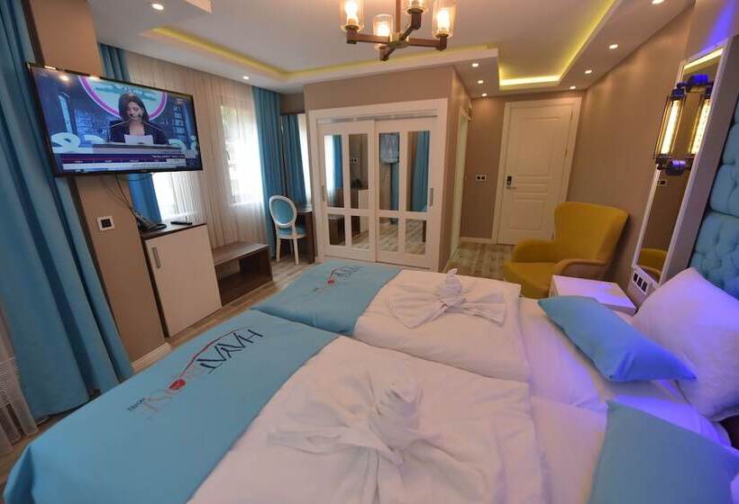 수피리어 룸, Hayat Rose