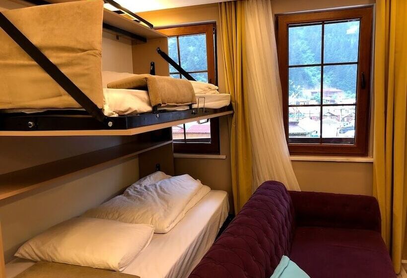 패밀리 스위트, Hayat Rose