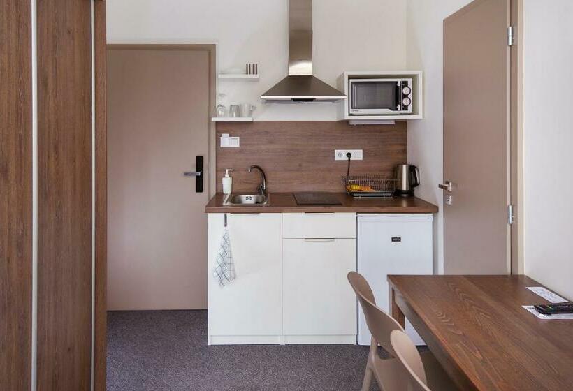 스탠다드 룸, Penzion Lesni