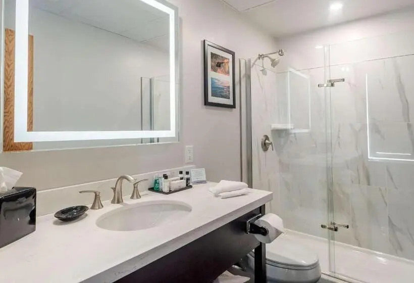 اتاق استاندارد, The Courthouse Hotel, Ascend Hotel Collection