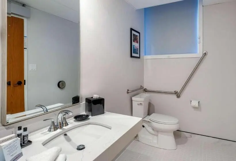 اتاق استاندارد با تخت بزرگ برای معلولان, The Courthouse Hotel, Ascend Hotel Collection