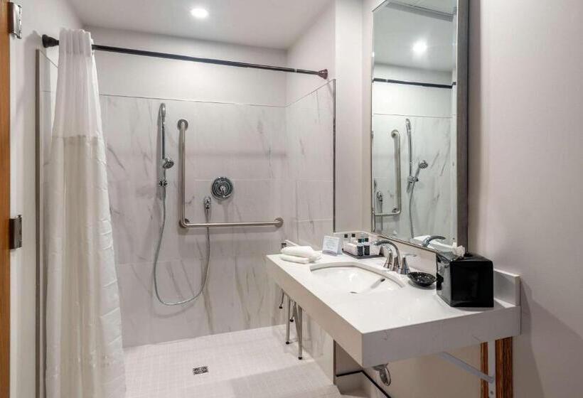 장애인을 위한 킹사이즈 침대 스탠다드 룸, The Courthouse Hotel, Ascend Hotel Collection