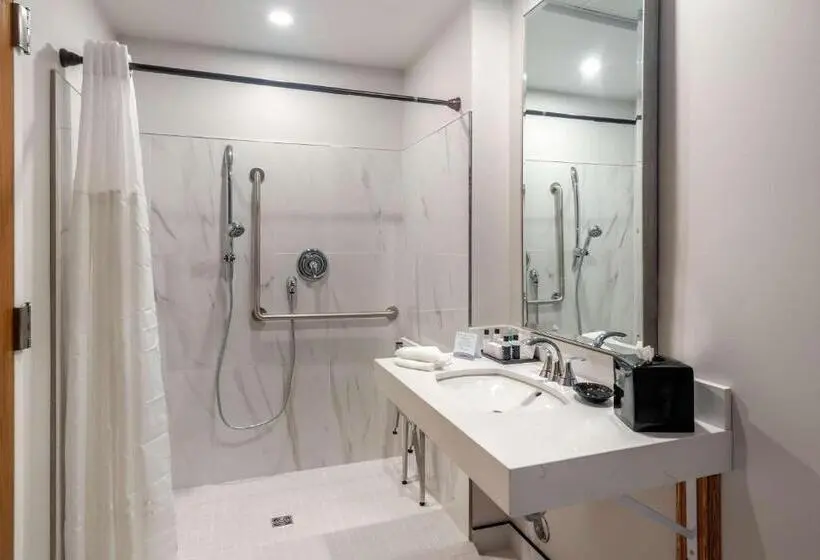 اتاق استاندارد با تخت بزرگ برای معلولان, The Courthouse Hotel, Ascend Hotel Collection