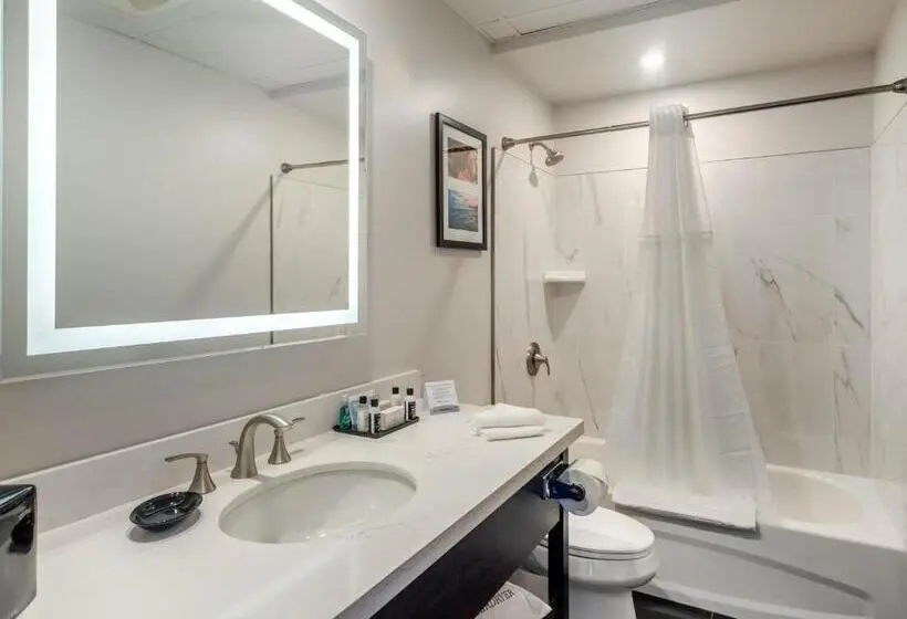 سوئیت با تخت بزرگ, The Courthouse Hotel, Ascend Hotel Collection