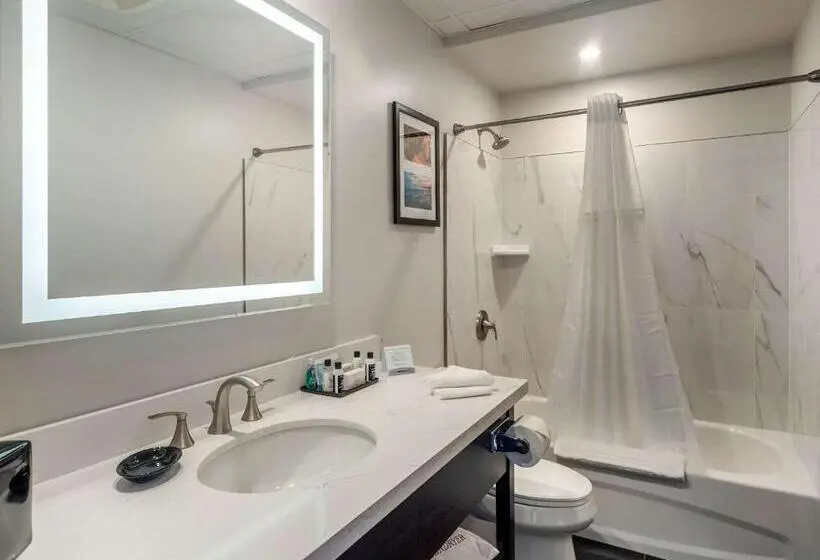 سوئیت با تخت بزرگ, The Courthouse Hotel, Ascend Hotel Collection