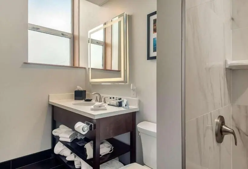 سوئیت با تخت بزرگ, The Courthouse Hotel, Ascend Hotel Collection
