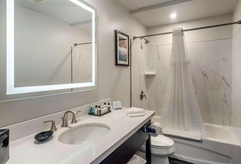 غرفة سوبيريور لذوى الاحتياجات الخاصة, The Courthouse Hotel, Ascend Hotel Collection