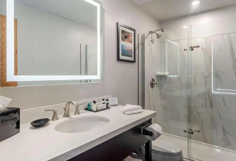 اتاق سوپریور با تخت بزرگ, The Courthouse Hotel, Ascend Hotel Collection