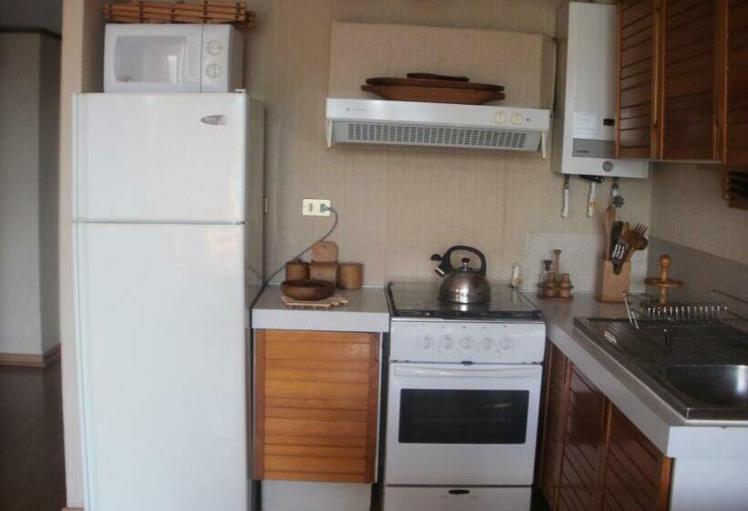 1 Bedroom Apartment Lake View, La Peninsula Rehue