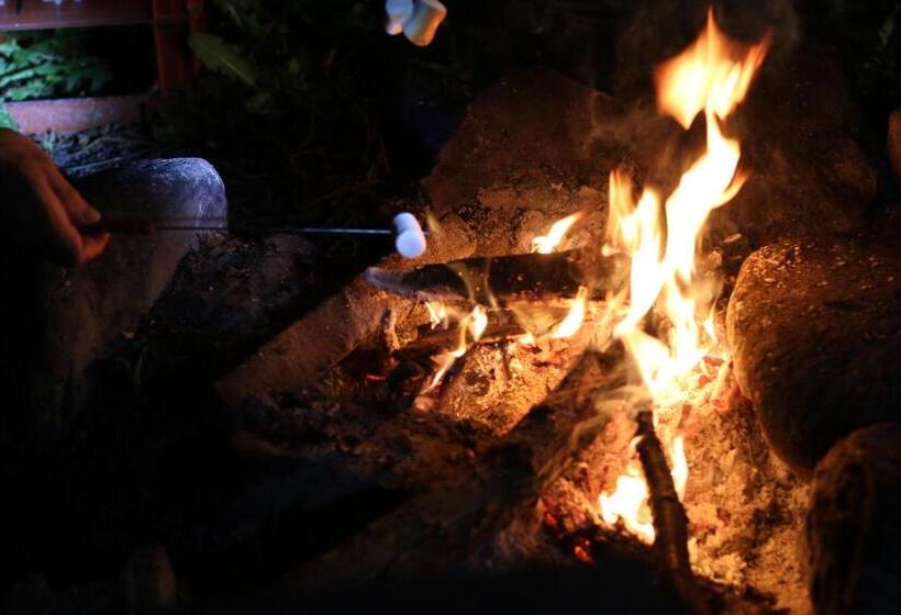 اتاق استاندارد چهارنفره با سرویس بهداشتی مشترک, 阿蘇び心 Asobi Gokoro